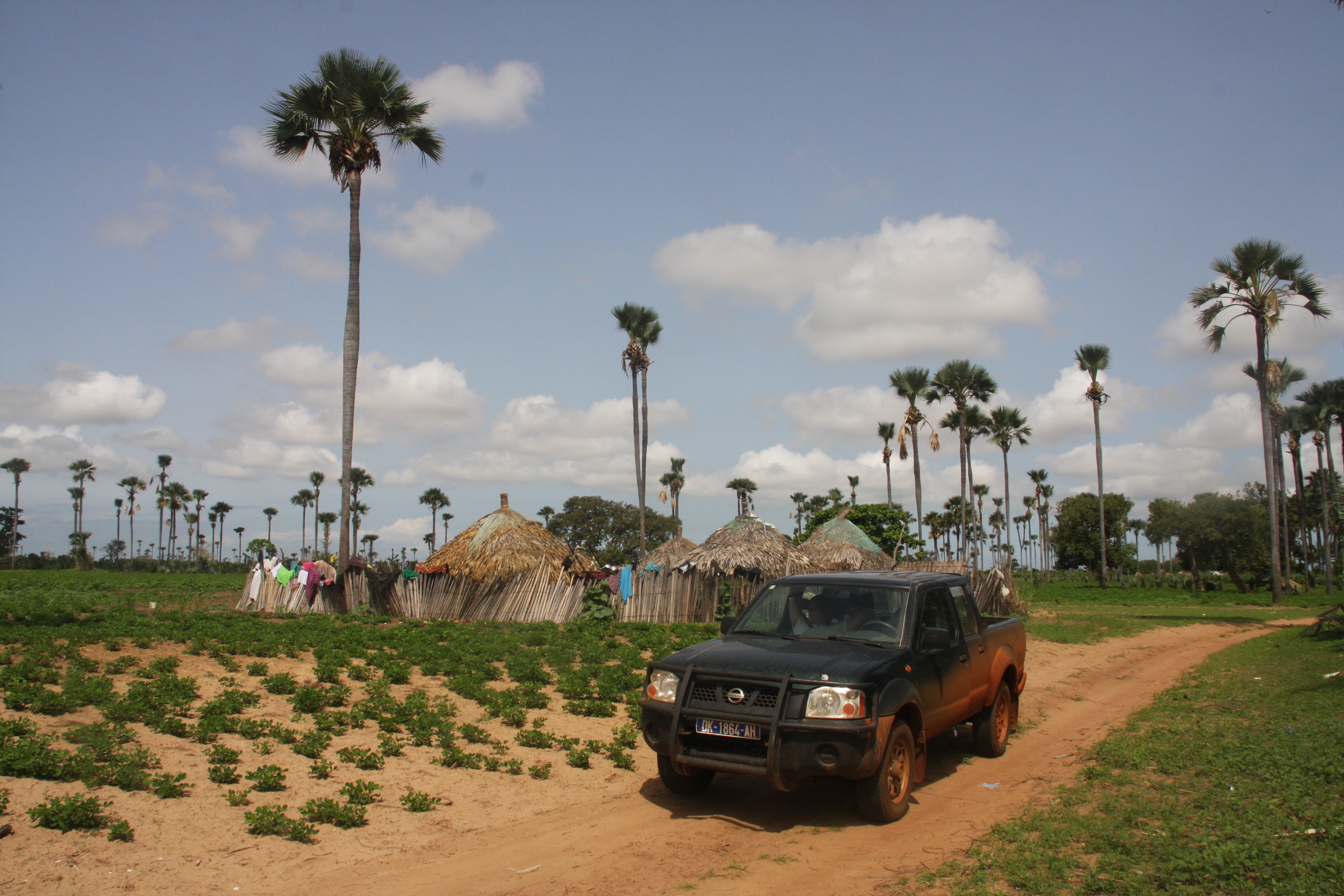 Sénégal – circuit 4x4 : Saloum, Saint-Louis, Lompoul, Djoudj, Dakar, Gorée