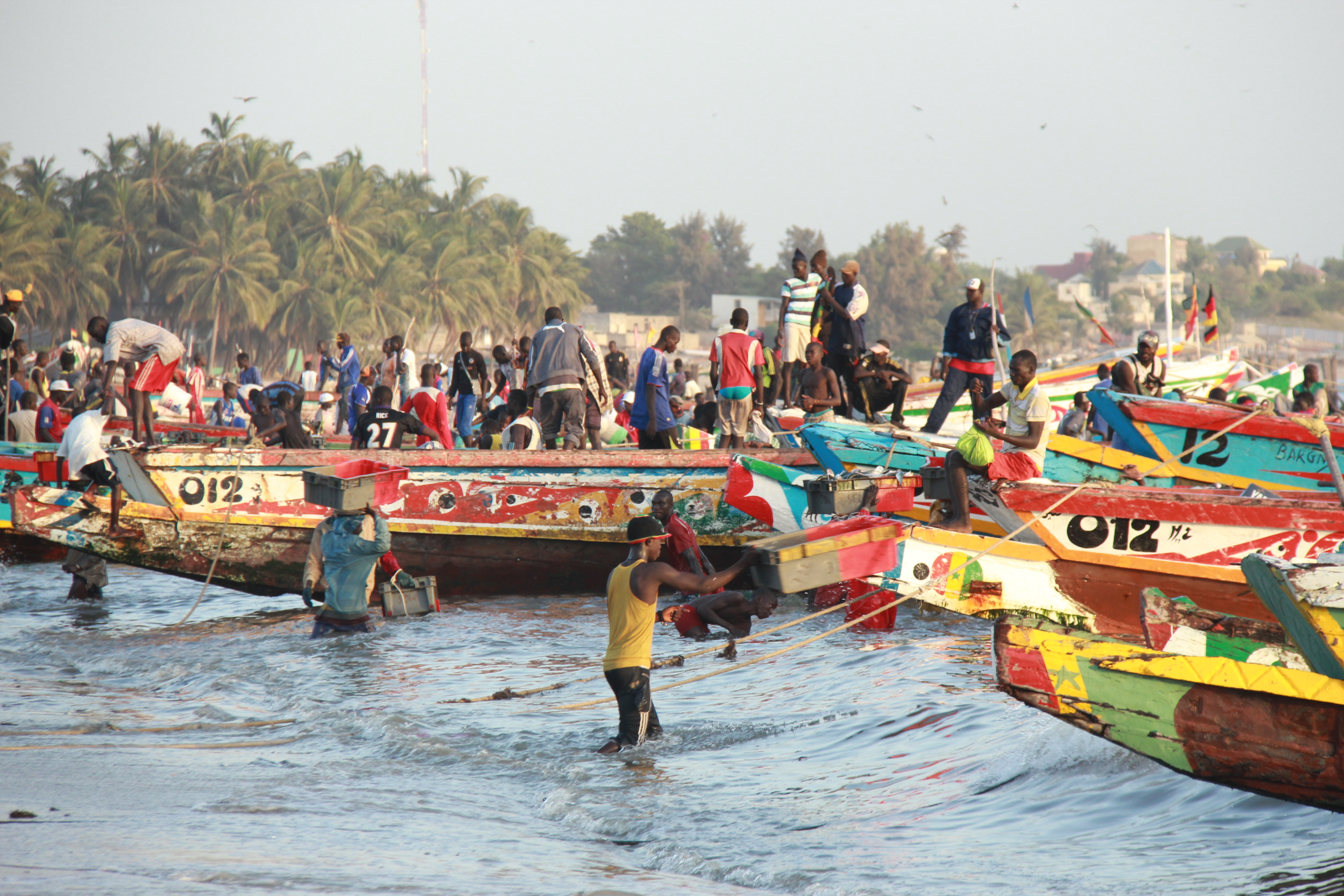 Pays Bassari - Traditions